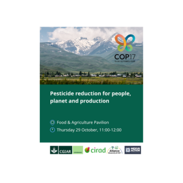 Side Event Pretag