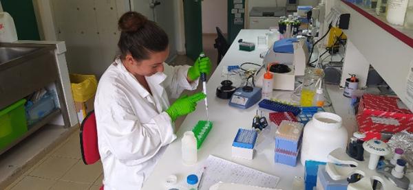 Expérience en laboratoire par Marine Seidel, doctorante sur la cercosporiose noire des bananiers pour concevoir des méthodes de contrôle innovantes © Cirad