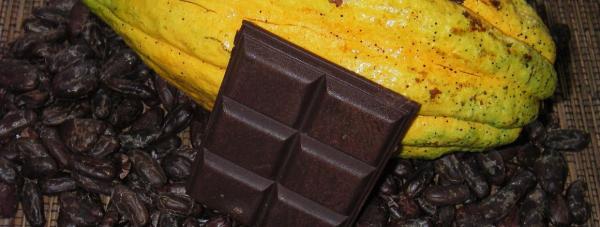 Cabosse, fèves de cacao épluchées et tablette de chocolat artisanale. © Philippe Lachenaud, Cirad