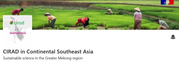 Linkedin page Asie Continentale