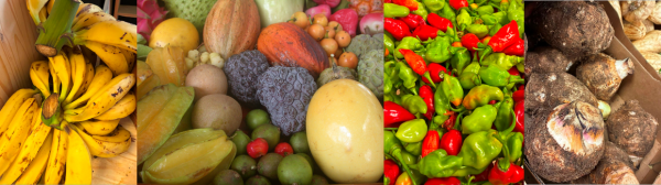 Fruits et légumes de Martinique. © J. Réminy, CIRAD