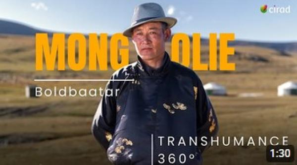 Transhumance 360-Mongolie