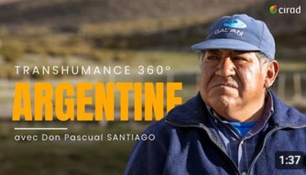 video-Argentine-pastoralisme