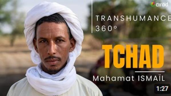 video-Tchad-pastoralisme