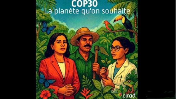 vignette saison 7 podcast episode 6