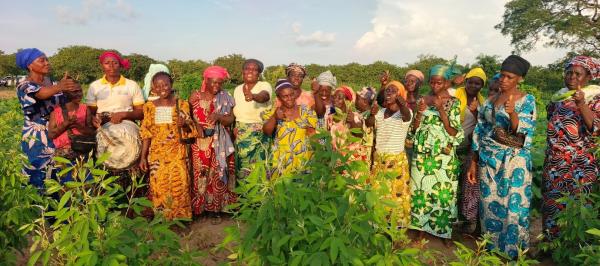 les femmes autour de la parcelles communautaires de Tchaourou © Com-ANaF, Benin