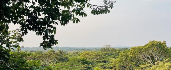 Paysage forestier, ferme de São Nicolau à Cotriguaçu, Mato Grosso, Bésil © Cristina Rosero