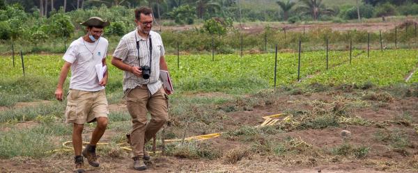 La recherche agronomique est une recherche finalisée, qui implique de s’interroger sur les changements générés chez les agriculteurs et autres acteurs © R. Belmin, Cirad