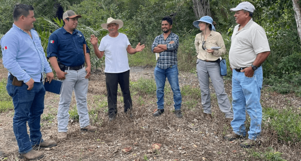 Agricultor Optipalmex taller 6 marzo