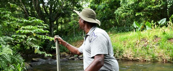 Installation d'une sonde sur une rivière du bassin du Galion, Martinique © Y. Sanguine, Cirad