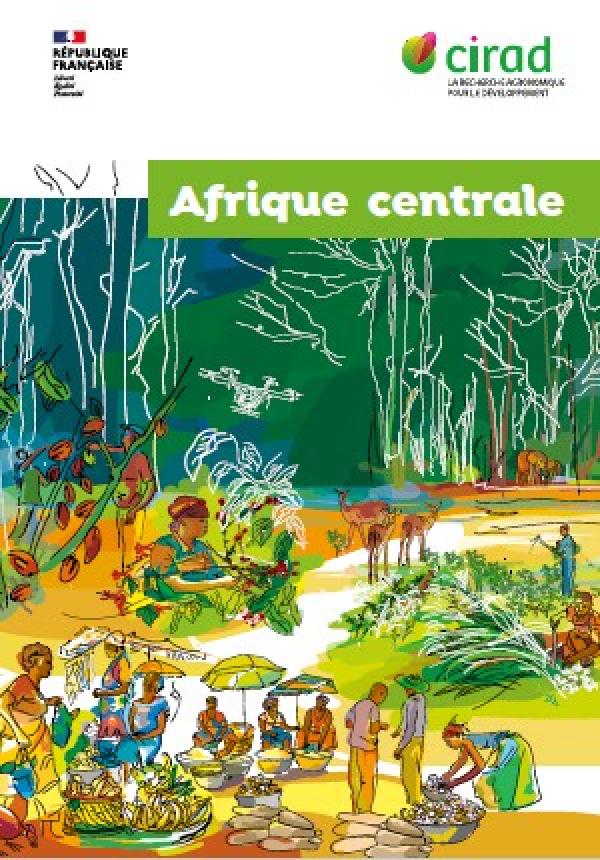 couverture brochure afrique centrale
