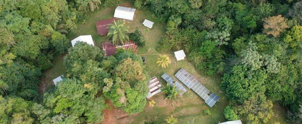 Paracou forest research station © B. Lacombe