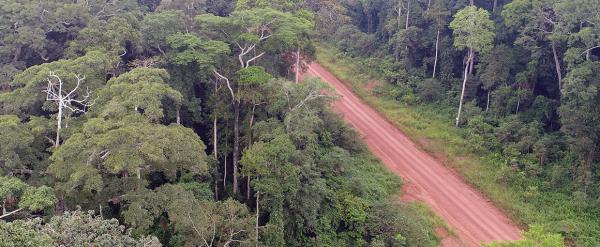 Piste forestière au sein de la forêt tropicale humide du Nord Congo © Laurent Tellier, Cirad