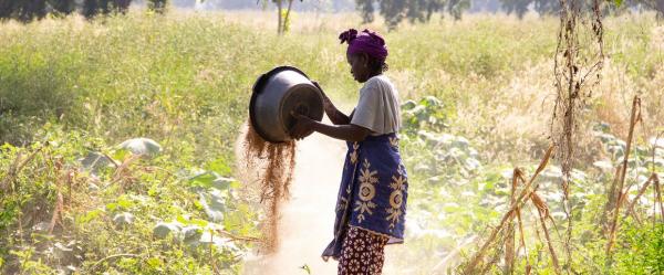 Les femmes sont présentes tout au long de la chaîne de production, pourtant le travail qu'elles effectuent est souvent invisibilisé