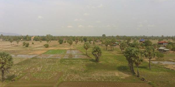 Irrigation of rice paddies © F. Tivet, CIRAD