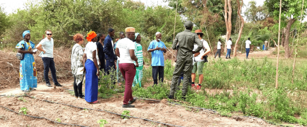 Visite d'une exploitation agricole au Sud du Sénégal