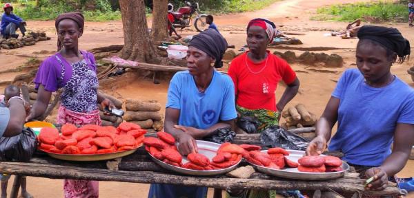 Vendeuses de fromage wagashi en bord de route à Tchaourou au Bénin © Y. Hemery, IRD
