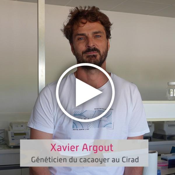 Cadmium et chocolat : les solutions du Cirad et de ses partenaires