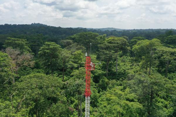 Vue aérienne du dispositif de tour à flux "Cacao-For-Flux" et du paysage. © I. Cornut