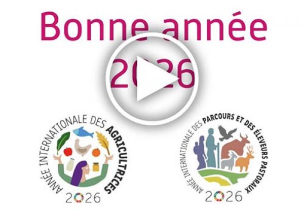 Image player bonne annee 2026