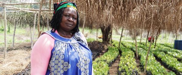 Marie Clarisse Ndengue owns a nursery of cocoa seedlings in Ntui (Cameroon) © S. Koutchou Mbougueng, CIRAD