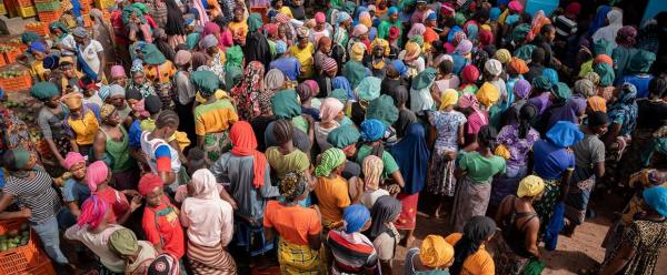 unités de séchage mangue burkina faso