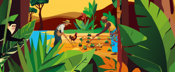 2025 informe anual cirad