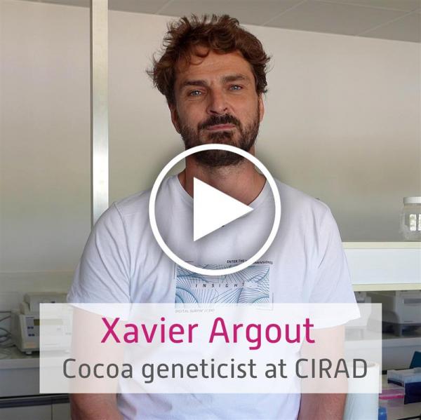 Cadmium and chocolate: the solutions CIRAD and its partners have to offer