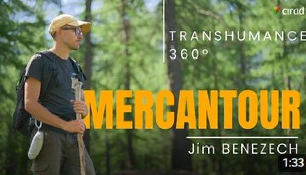 video-Mercantour-pastoralisme