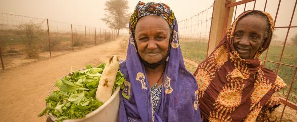 Cultivatrices en maraîchage dans la vallée du fleuve Sénégal © R. Belmin, Cirad