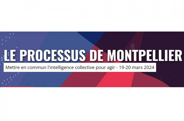 Le processus de Montpellier