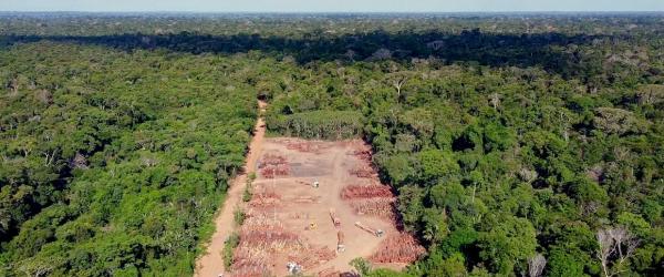 En Amazonie, l'enjeu de la préservation de la biodiversité est de protéger les forêts tropicales tout en permettant aux populations d'y vivre et d'en tirer parti © Galaxie Presse