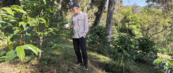 Tanguy Lafarge durante una visita de campo a sistemas agroforestales de café en Xalapa, México. © T. Lafarge, Cirad