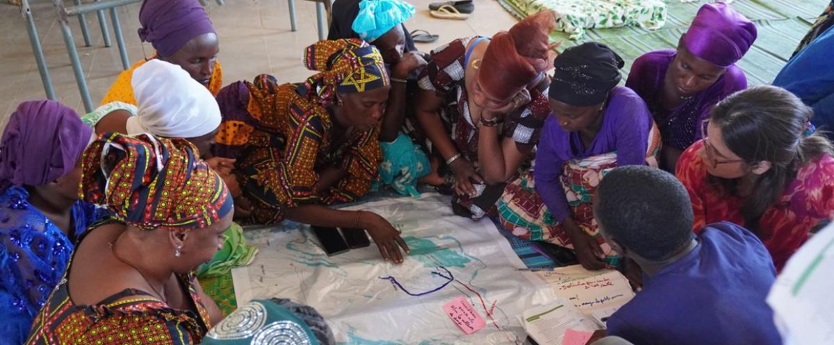 Cartographie des mobilités pastorales au Sénégal. © J-D. Cesaro, CIRAD