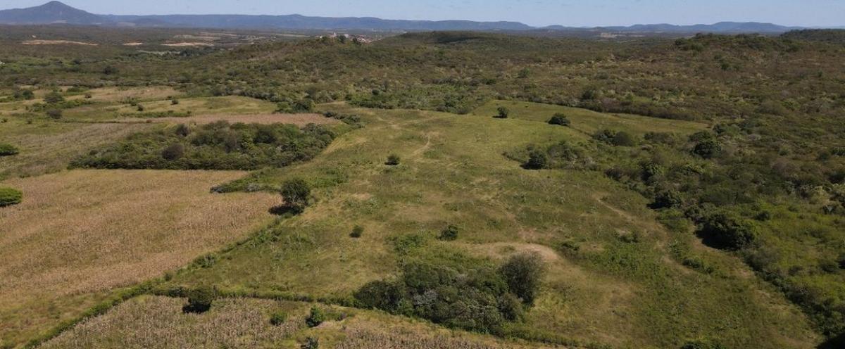 Paysage rural de la Caatinga en saison des pluies, dans l’intérieur semi-aride du Ceará