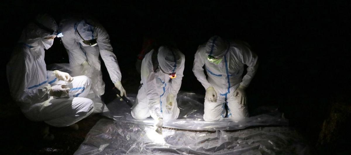 Zoonosis surveillance, Zimbabwe © IRD - CIRAD - Angela Jimu, CAZCOM project