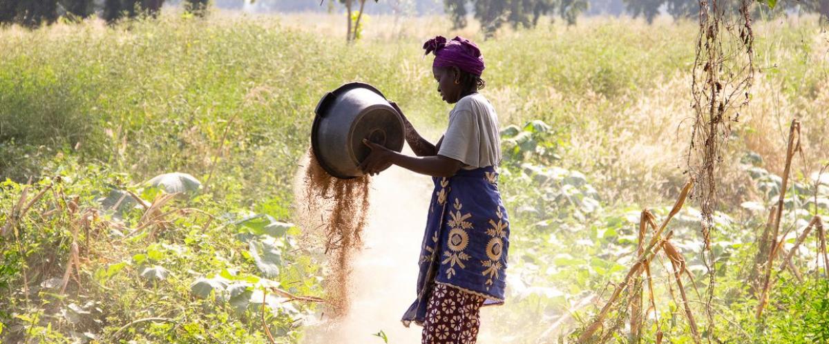 Les femmes sont présentes tout au long de la chaîne de production, pourtant le travail qu'elles effectuent est souvent invisibilisé