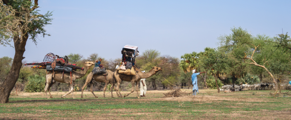Pastoralists in Chad