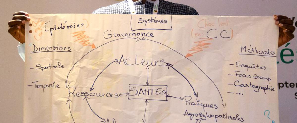 Workshop on One Health systems in Senegal, associating scientists, veterinarians, crop farmers, livestock farmers, etc. © R. Belmin, CIRAD