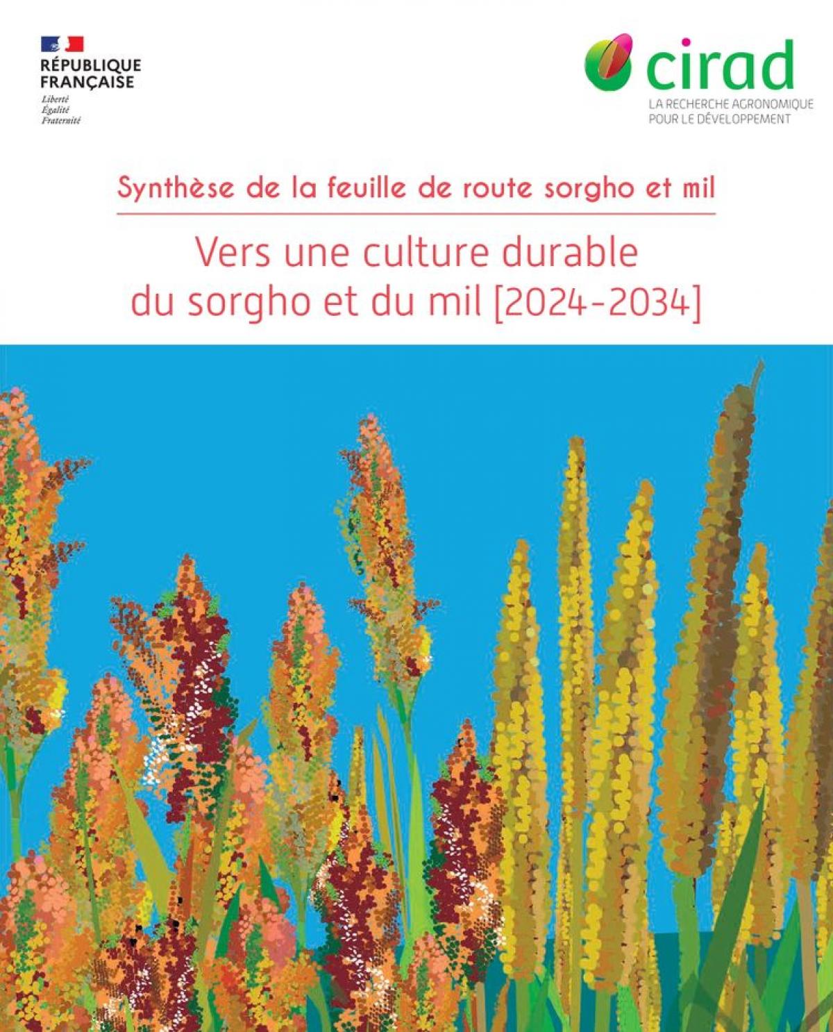 Couverture de la synthèse de feuille de route sorgho-mil