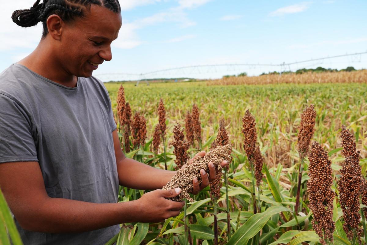 Florentin Pietrus in his experimental plot in Mauguio, Occitanie, France