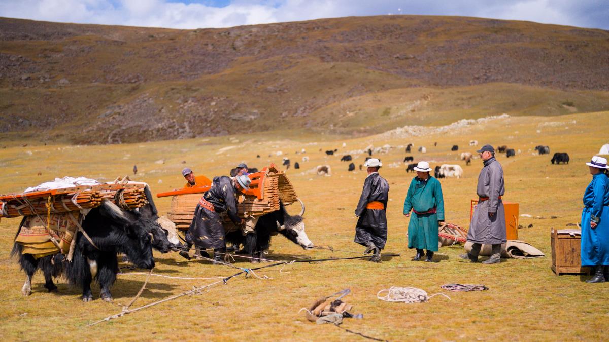 Pastoralists in Mongolia