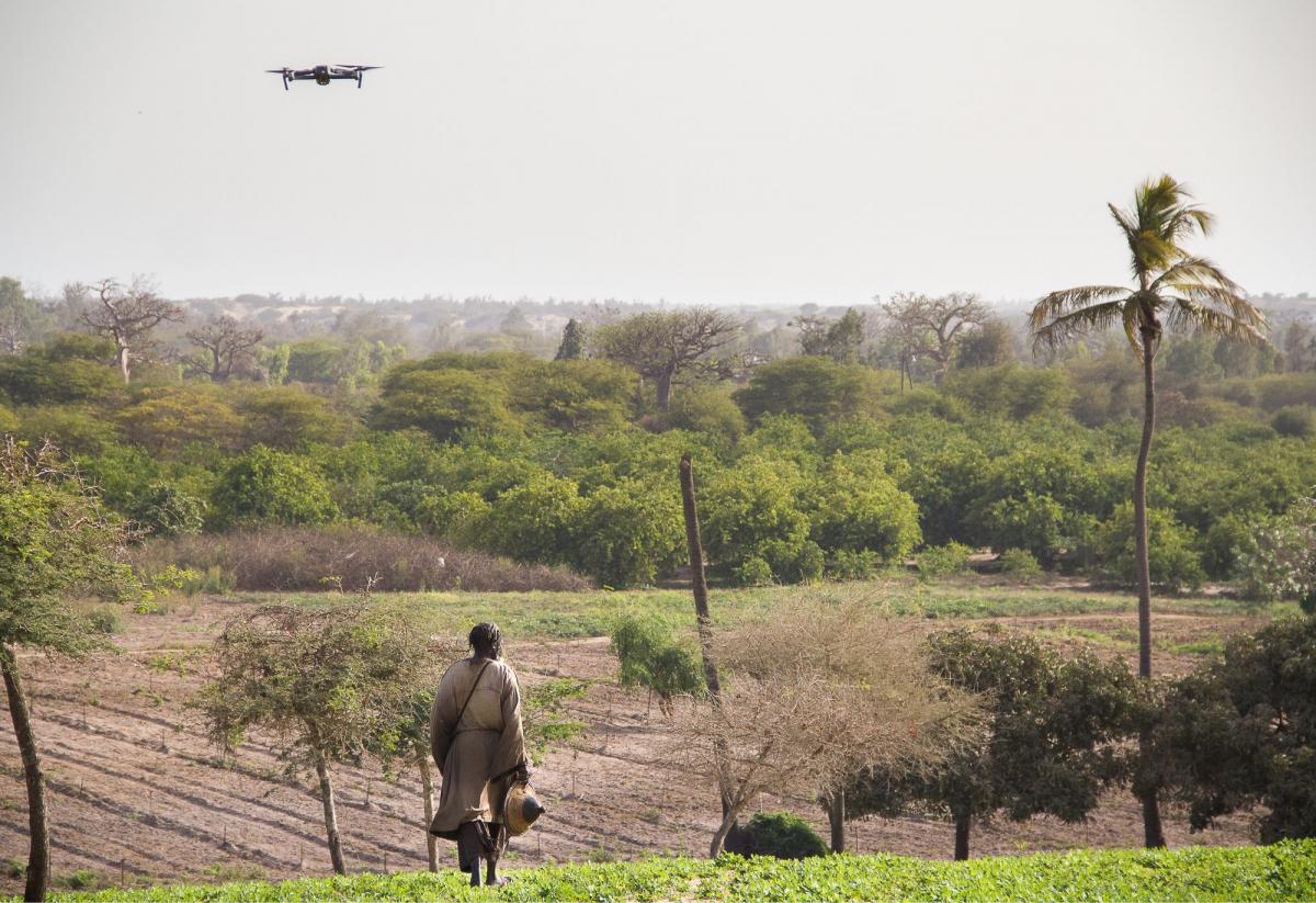 Drone survolant une parcelle agricole, dans la région du Ferlo au Sénégal © R. Belmin, Cirad