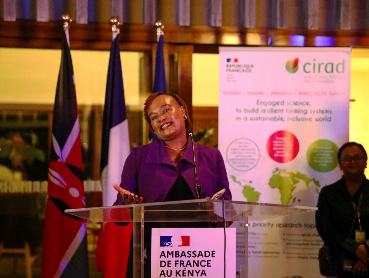 Prof. Catherine Kunyanga &agrave; l&rsquo;occasion du lancement du dP TRACE en novembre 2025, &agrave; l&rsquo;ambassade de France &agrave; Nairobi &copy; University of Nairobi Media