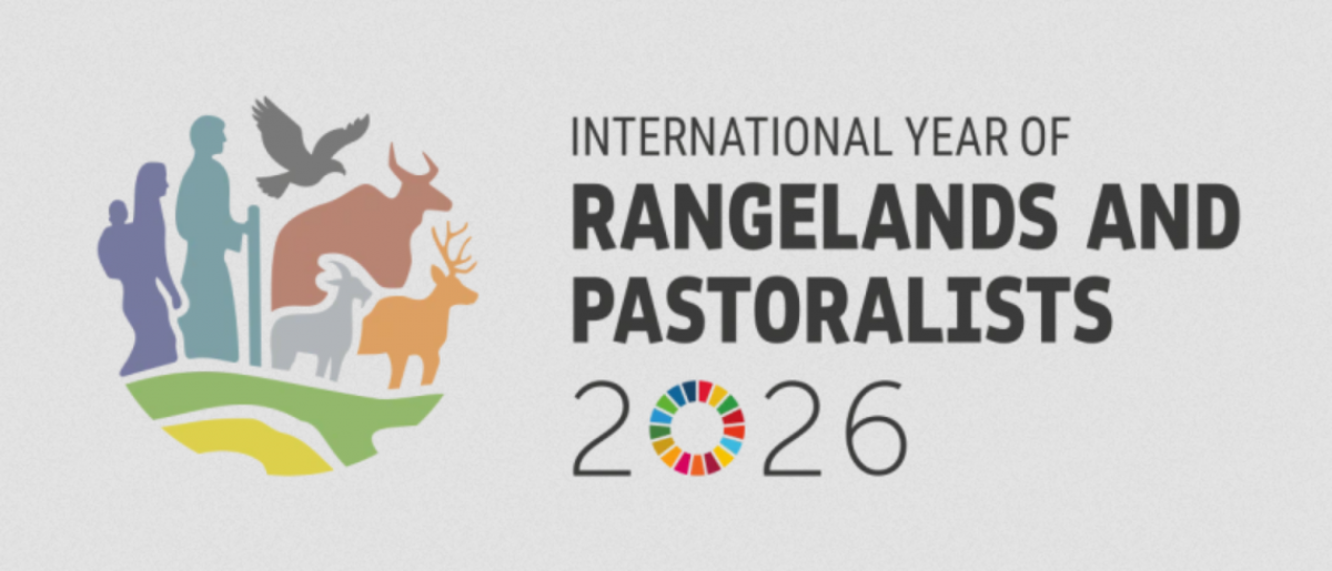 IYRP logo