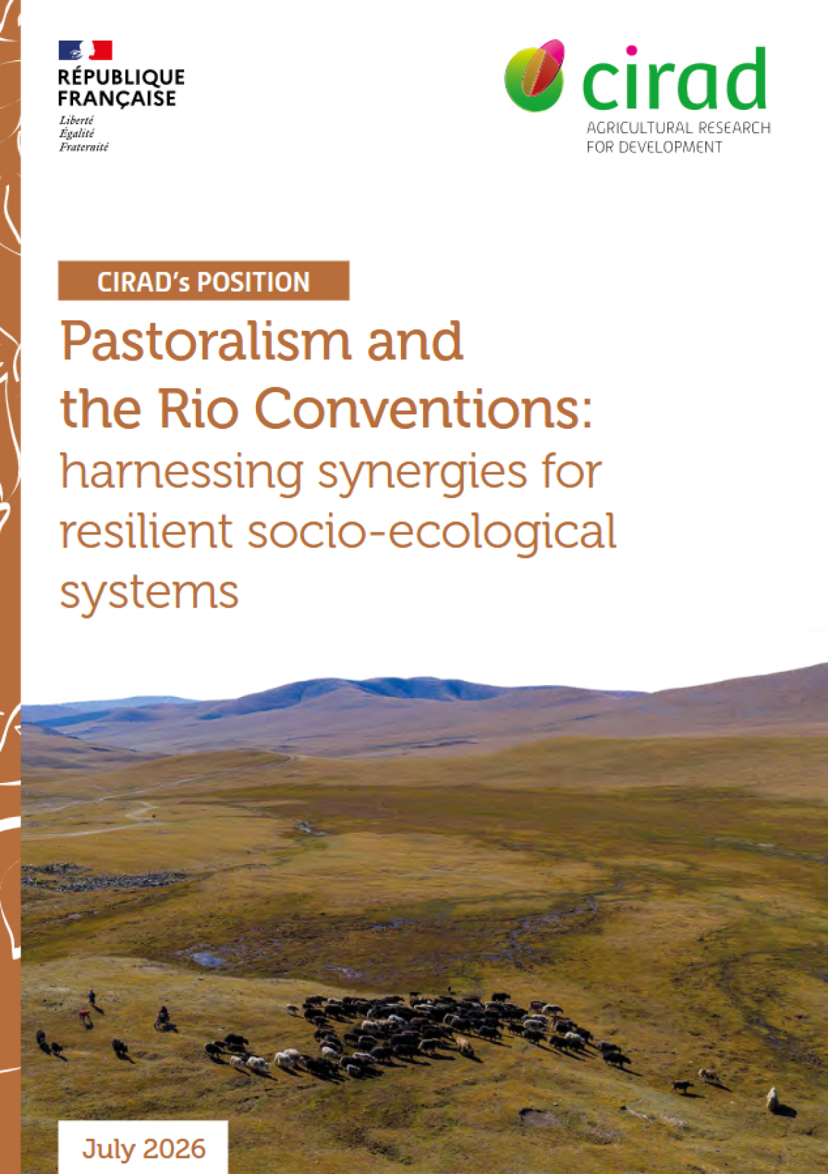 Position paper - Pastoralism and Rio Conventions