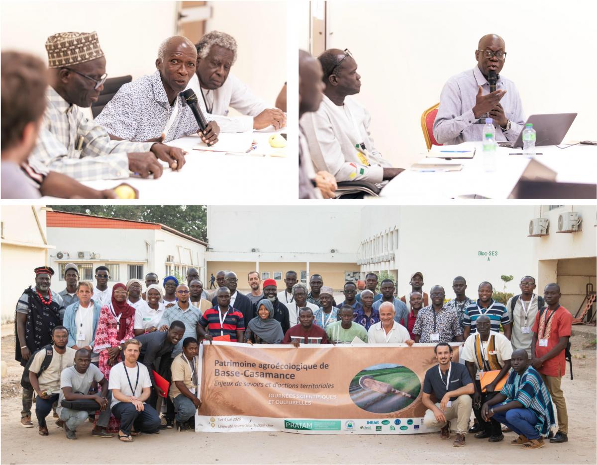 Organis&eacute;es &agrave; l&rsquo;Universit&eacute; Assane Seck de Ziguinchor, les Journ&eacute;es ont &eacute;t&eacute; un important moment d&rsquo;&eacute;change transdisciplinaire.