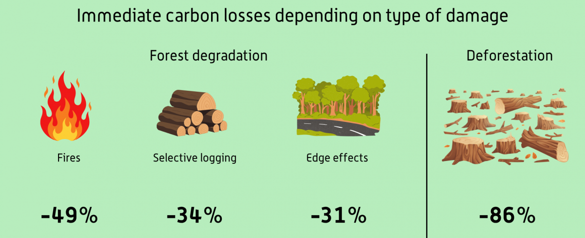 Carbon losses depending on the type of distruption - deforestation or degradation