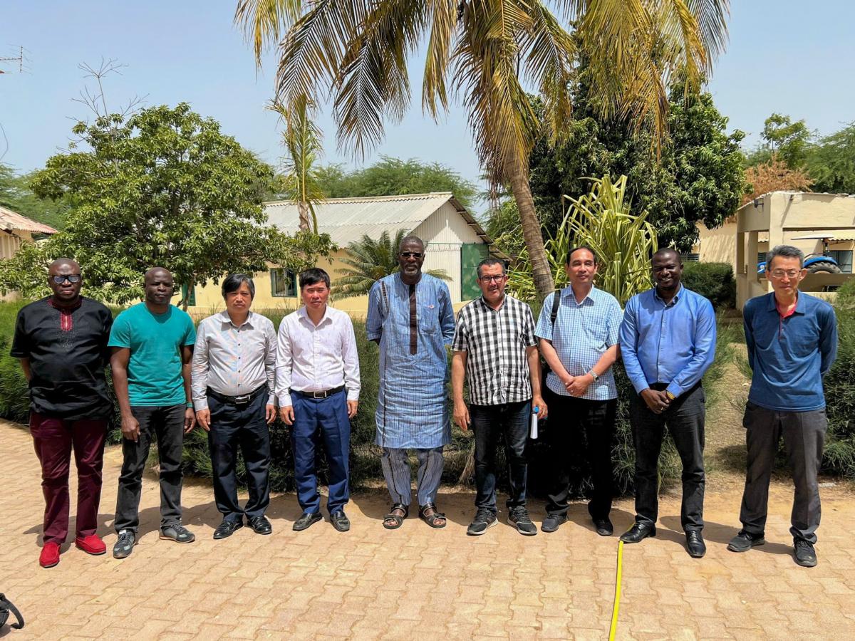 Rencontre avec AfricaRice : la délégation vietnamienne a rencontré le Dr Ali Ibrahim, représentant d’AfricaRice, au Nord du Sénégal
