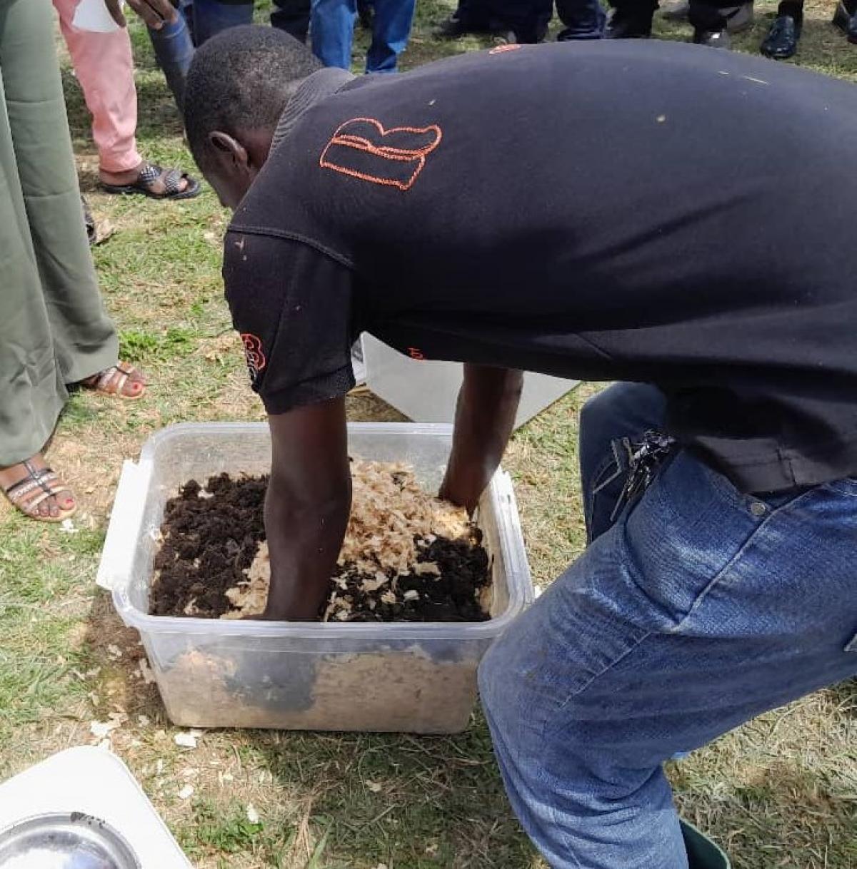 D&eacute;monstration du proc&eacute;d&eacute; de fabrication du vermicompost &agrave; partir d&rsquo;excr&eacute;ments de porc et de copeaux de bois blanc